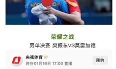 九游娱乐app下载-宿敌对决，球员拼尽全力夺冠