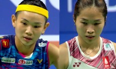 九游娱乐app下载-关于丹麦队绝杀法国队，戴资颖惊艳四座的信息