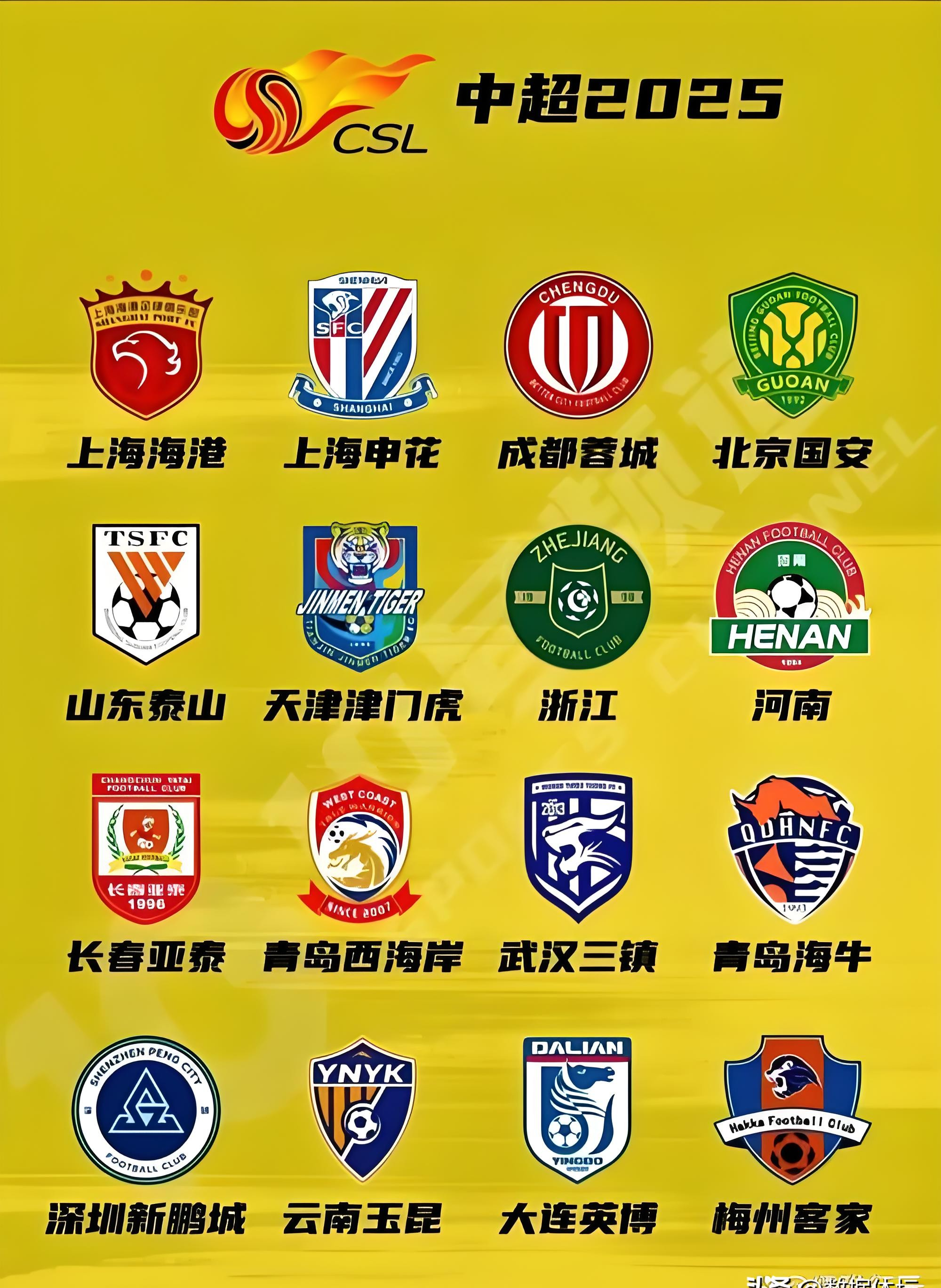 中超传奇球员发挥出色，助球队跻身前列