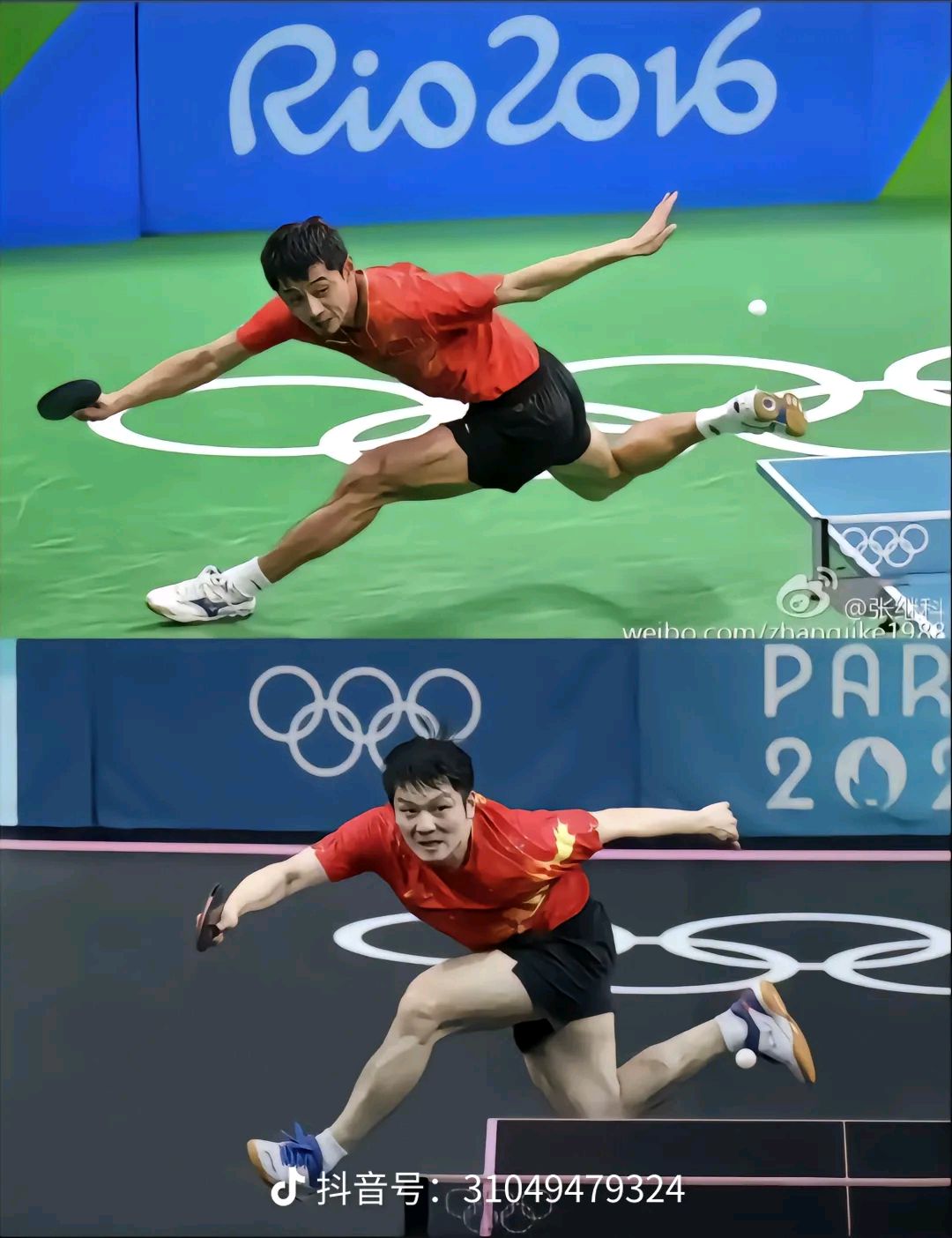 瑞典乒乓球队碾压比利时乒乓球队，张继科爆发神勇的简单介绍