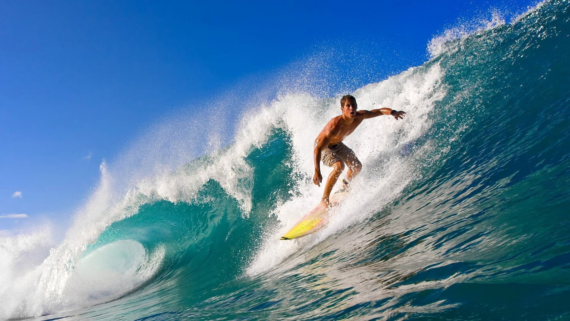 凯恩一锤定音，勒沃库森战术完胜葡萄牙，关键先生定义欧战新篇章